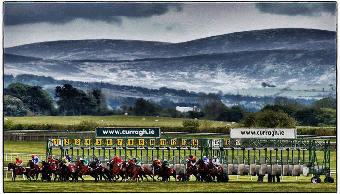 Curragh