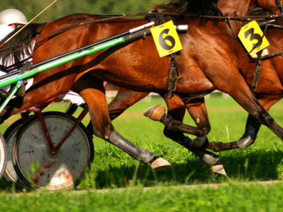 Gran Premio Marche