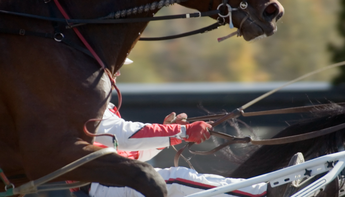 Gran Premio Continentale_