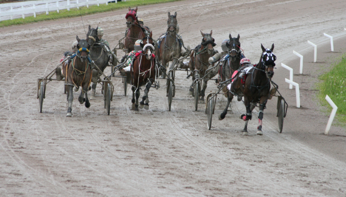 Derby italiano del trotto