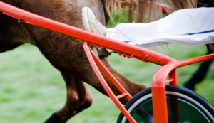 Gran Premio orsi Mangelli
