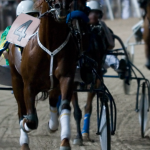 Gran premio memorial Giuseppe Biasuzzi