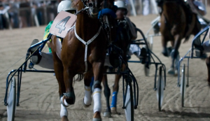 Gran premio memorial Giuseppe Biasuzzi