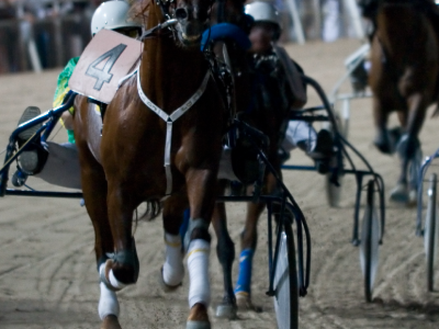 Gran premio memorial Giuseppe Biasuzzi