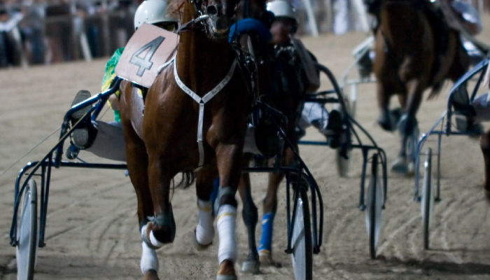 Gran premio memorial Giuseppe Biasuzzi