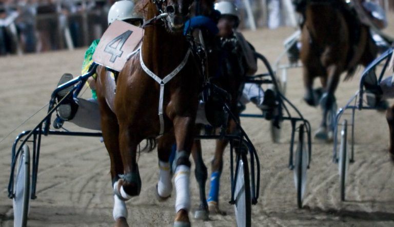Gran premio memorial Giuseppe Biasuzzi