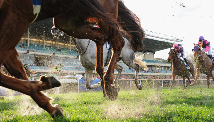 Cagnes sur mer