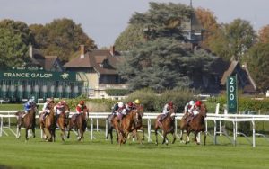cavalli in corsa a saint cloud
