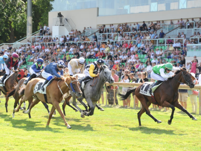 Salon de Provence