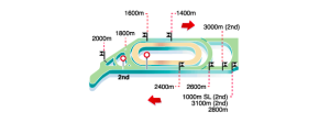 mappa tracciato vichy