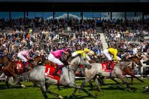 cavalli in corsa a curragh