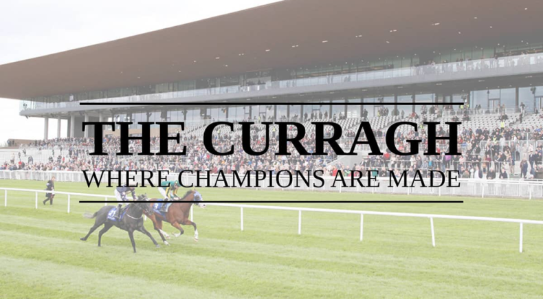 curragh