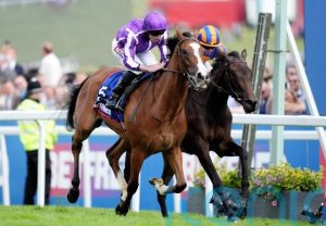 mikkie hauck curragh 
