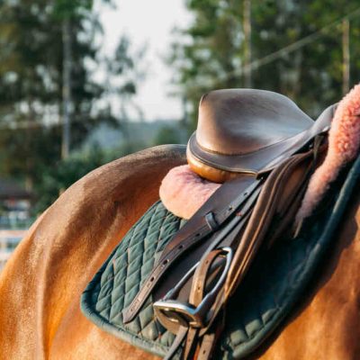 scelta della sella adatta per il tuo cavallo