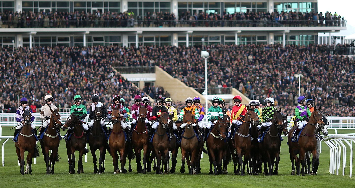 Triumph Trial Juvenile Hurdle (G2) a Cheltenham: 10 cavalli al via per ora con intervista a Sam Stronge e Paul Nicholls