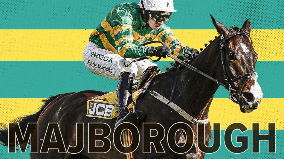 Tutti i sistemi parlano a favore di Majborough nel Queen Mother Champion Chase di Cheltenham (UK)