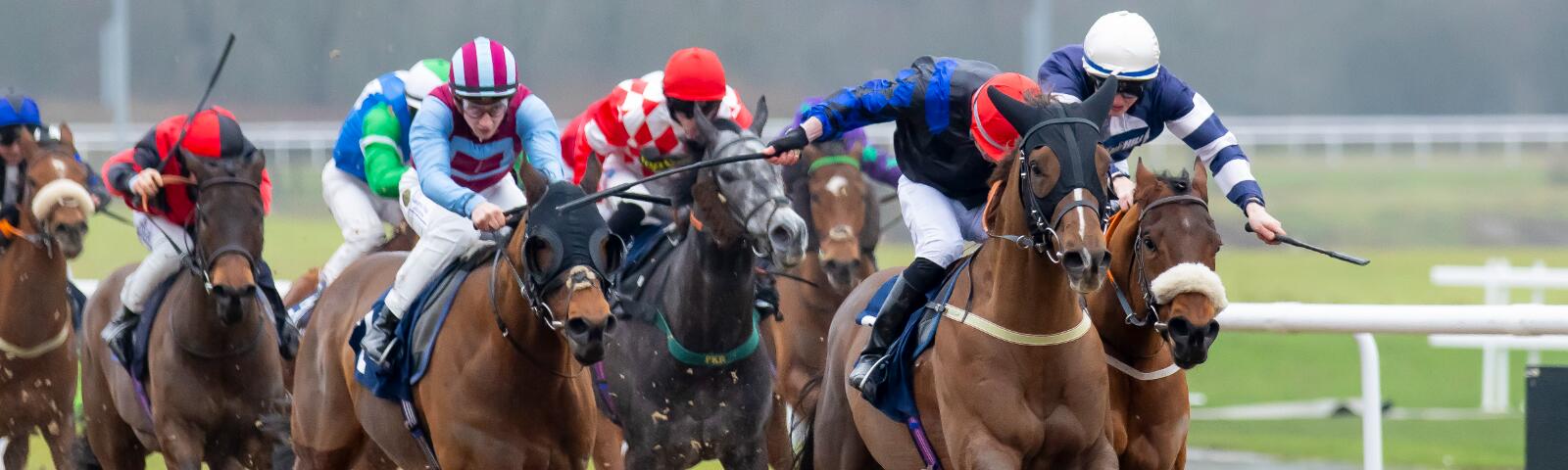 Corse 5/5/2026 (UK): Ayr, Ffos Las, Hereford e Wolverhampton (AW) i campi attivi