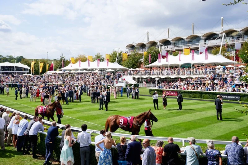 Anteprima Goodwood Cup, si corre il 28 luglio 2026: Favorito Scandinavia