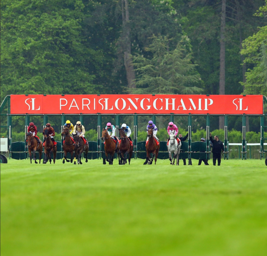 Domenica 4 ottobre 2026, Prix de l’Arc de Triomphe edizione 2026 con Daryz favorito… forse troppo